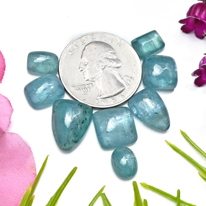 43,85 ct. Paraiba Aqua Kyanit 7 x 9 mm – 11 x 15 mm glatte Cabochons, Edelsteinpaket der Güteklasse AA – insgesamt 8 Stück