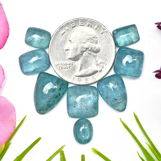 43,85 ct. Paraiba Aqua Kyanit 7 x 9 mm – 11 x 15 mm glatte Cabochons, Edelsteinpaket der Güteklasse AA – insgesamt 8 Stück