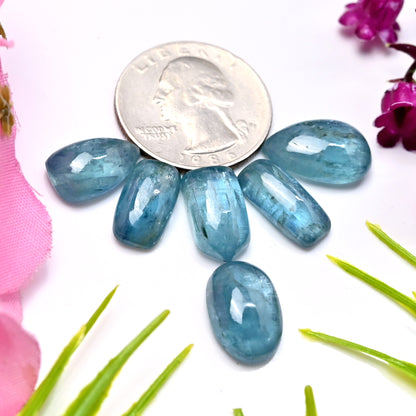 45cts. Paraiba Aqua Kyanite 11x17mm - 7x15mm Smooth Cabochons AA Grade Gemstone Parcel - Total 6 Pcs