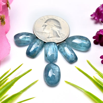 45cts. Paraiba Aqua Kyanite 11x17mm - 7x15mm Smooth Cabochons AA Grade Gemstone Parcel - Total 6 Pcs