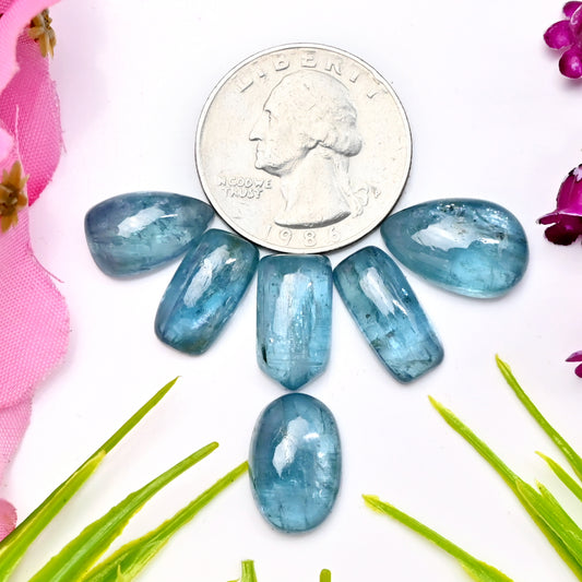 45 Karat. Paraiba Aqua Kyanit 11 x 17 mm – 7 x 15 mm glatte Cabochons, Edelsteinpaket der Güteklasse AA – insgesamt 6 Stück