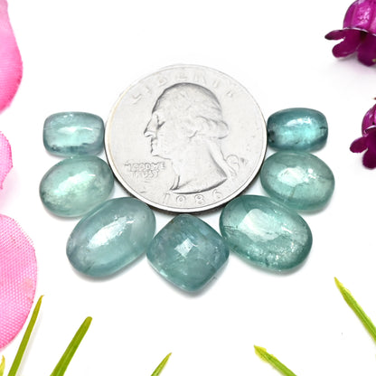 32,80 ct. Paraiba Aqua Kyanit 7 x 9 mm – 10 x 14 mm glatte Cabochons, Edelsteinpaket der Güteklasse AA – insgesamt 7 Stück