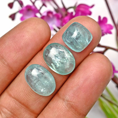 32,80 ct. Paraiba Aqua Kyanit 7 x 9 mm – 10 x 14 mm glatte Cabochons, Edelsteinpaket der Güteklasse AA – insgesamt 7 Stück