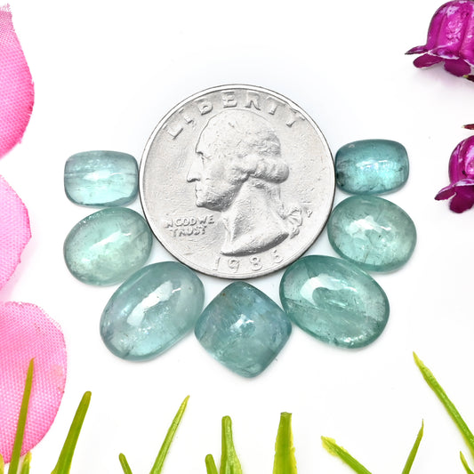 32,80 ct. Paraiba Aqua Kyanit 7 x 9 mm – 10 x 14 mm glatte Cabochons, Edelsteinpaket der Güteklasse AA – insgesamt 7 Stück