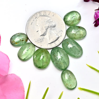 40.25cts Green Kyanite Smooth Cabochon 8x11mm - 10x14mm Oval Shape AA Grade Gemstone Parcel -Total 8 Pcs