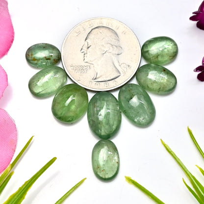 40,25 ct grüner Kyanit, glatter Cabochon, 8 x 11 mm – 10 x 14 mm, ovale Form, Edelsteinpaket der Güteklasse AA, insgesamt 8 Stück