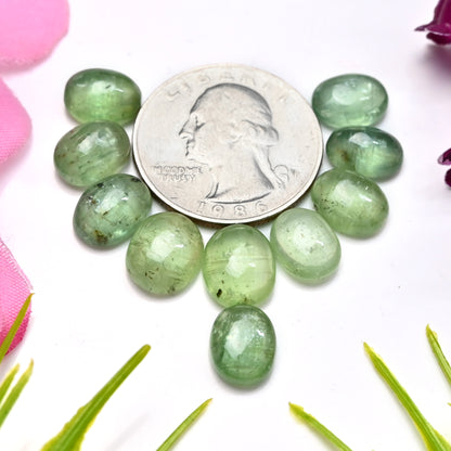 36,90 ct grüner Kyanit, glatter Cabochon, 7 x 10 mm – 9 x 11 mm, Edelsteinpaket der Güteklasse AA, insgesamt 10 Stück