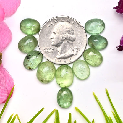 36,90 ct grüner Kyanit, glatter Cabochon, 7 x 10 mm – 9 x 11 mm, Edelsteinpaket der Güteklasse AA, insgesamt 10 Stück