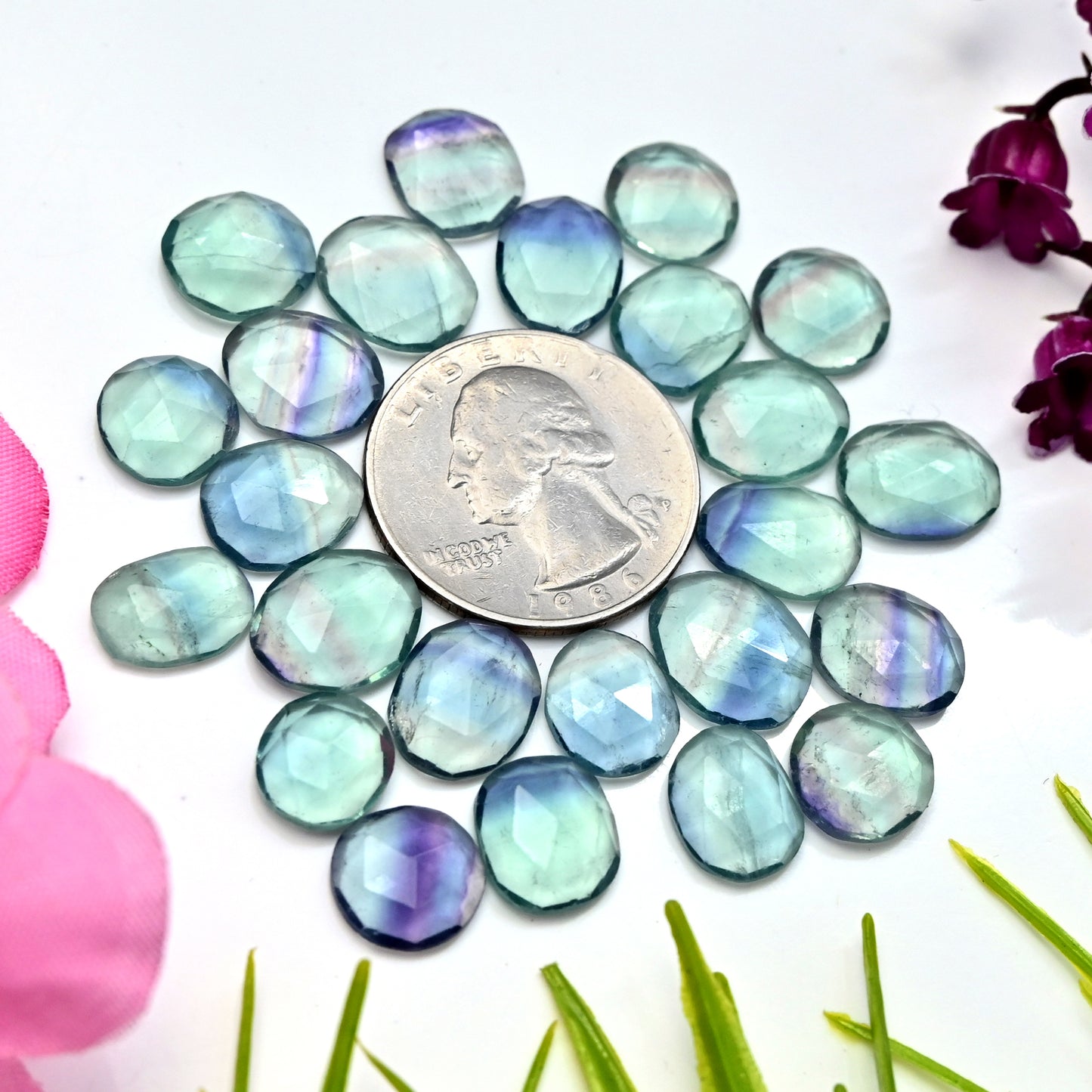 81.25cts Fluorite Rose Cut Cabochon 9x11mm - 11x13mm Free Form Shape AA Grade Gemstone Parcel - Total 24 Pcs