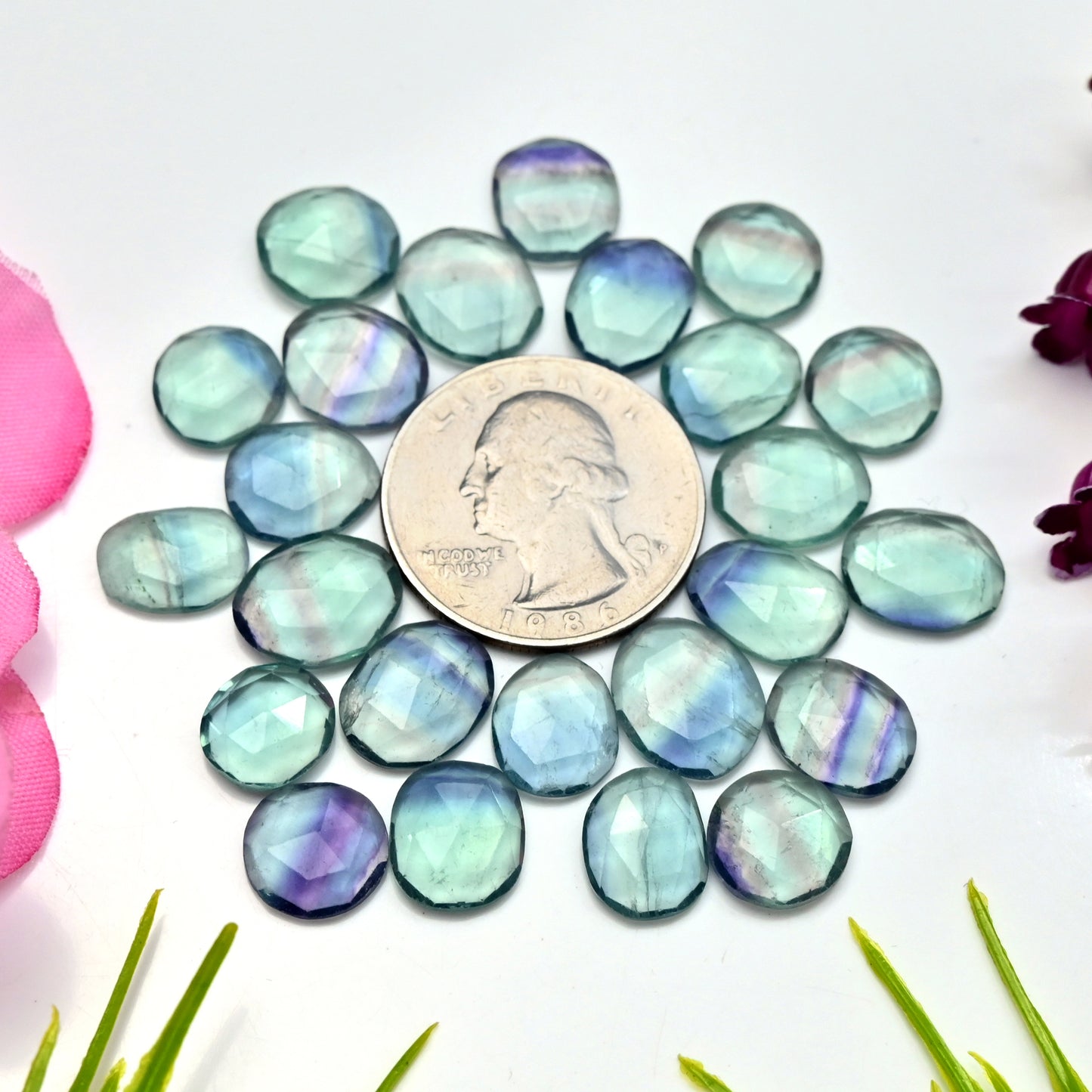 81.25cts Fluorite Rose Cut Cabochon 9x11mm - 11x13mm Free Form Shape AA Grade Gemstone Parcel - Total 24 Pcs