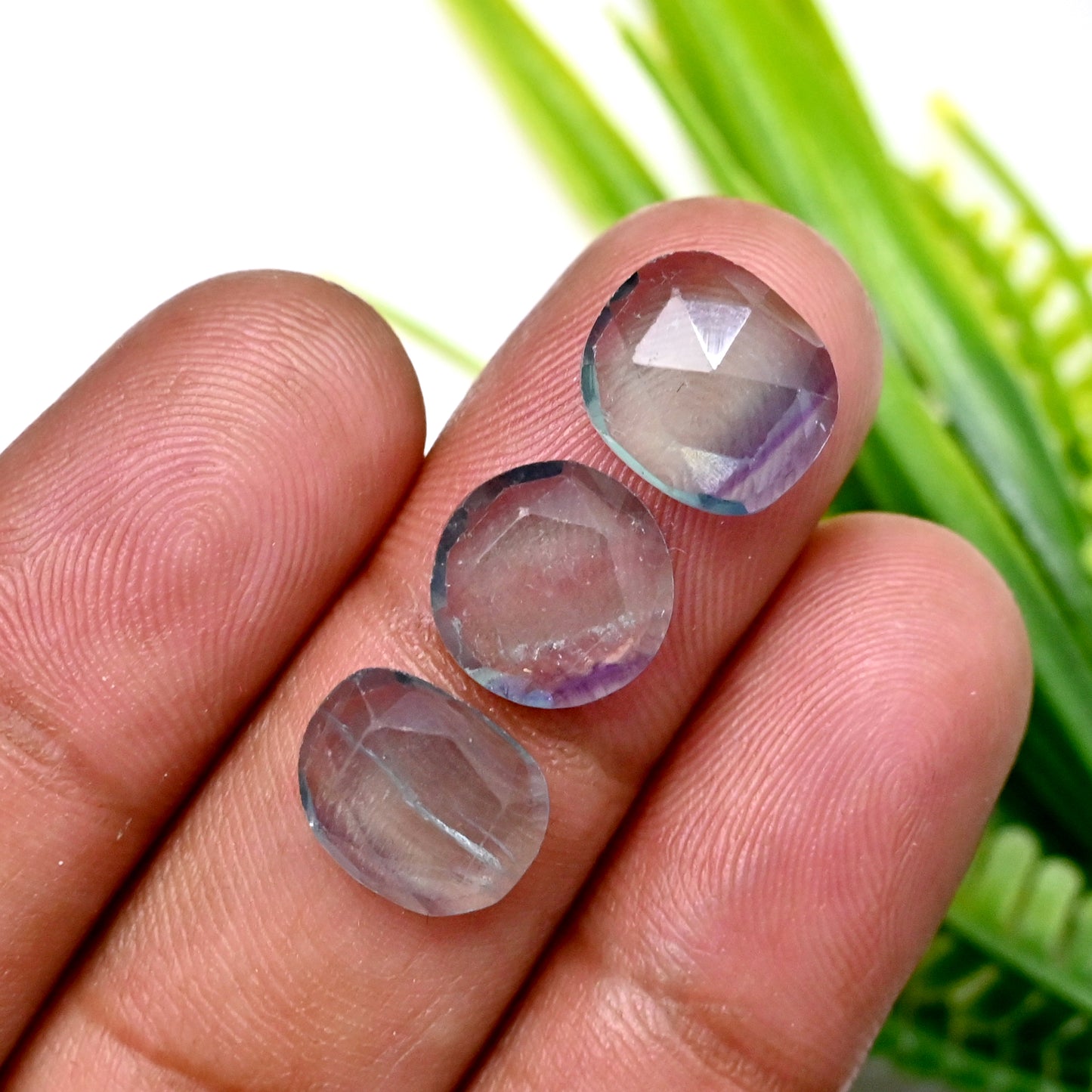 81.25cts Fluorite Rose Cut Cabochon 9x11mm - 11x13mm Free Form Shape AA Grade Gemstone Parcel - Total 24 Pcs