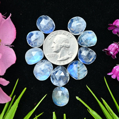 42.95cts Rainbow Moonstone Rosecut 12x14mm and 11x13mm Freeform Shape AA Grade Gemstone Parcel -Total 10 Pcs