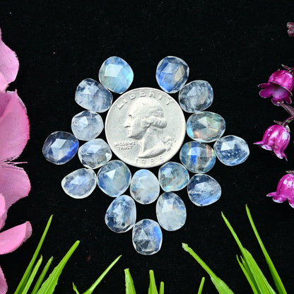 41.95cts Rainbow Moonstone Rosecut 9x11mm and 8x10mm Freeform Shape AA Grade Gemstone Parcel -Total 18 Pcs