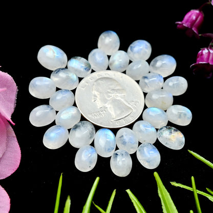 67.1cts Rainbow Moonstone Smooth Cabochons 7x10mm - 9x11mm Mix Shape AA Grade Gemstone Parcel -Total 27 Pcs