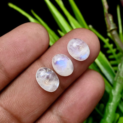 67,1 ct Regenbogen-Mondstein, glatte Cabochons, 7 x 10 mm – 9 x 11 mm, gemischte Form, Edelsteinpaket der Güteklasse AA, insgesamt 27 Stück