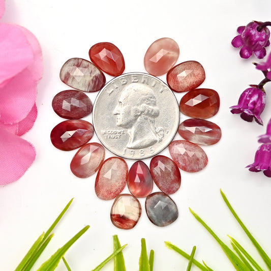 29.05cts Andesine Rose Cut Cabochon 7x12mm - 8x13mm Free Form Shape AA Grade Gemstone Parcel -Total 15 Pcs