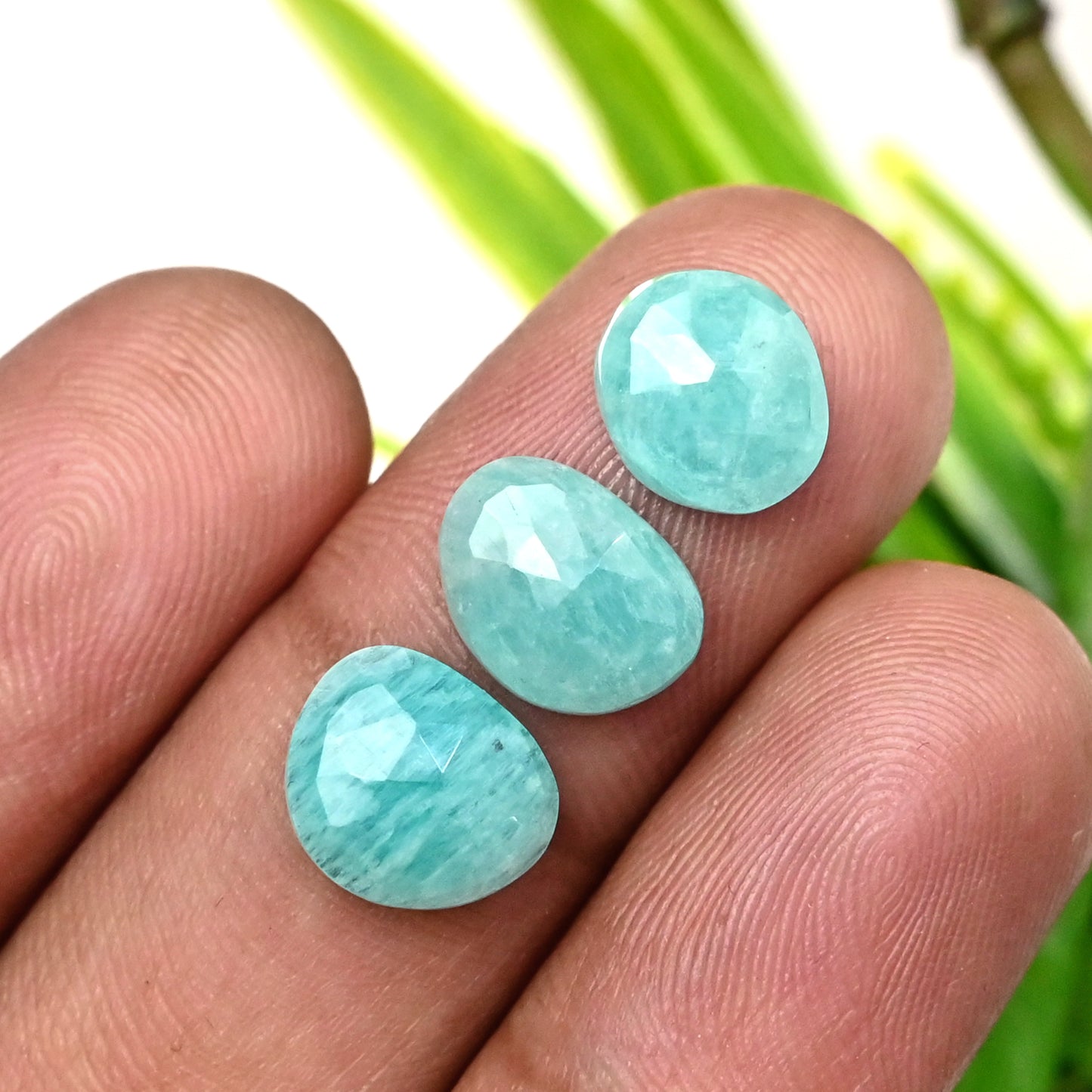 51.5cts Amazonite Rose Cut Cabochon 6x9mm - 8x10mm AA Grade Gemstone Parcel - Total 27 Pcs