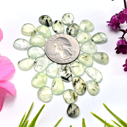 79.6cts Natural Prehnite Faceted Rose Cut Cabochon 8x14mm - 9x13mm Freeform Shape AA Grade Gemstone Parcel - Total 28 Pcs