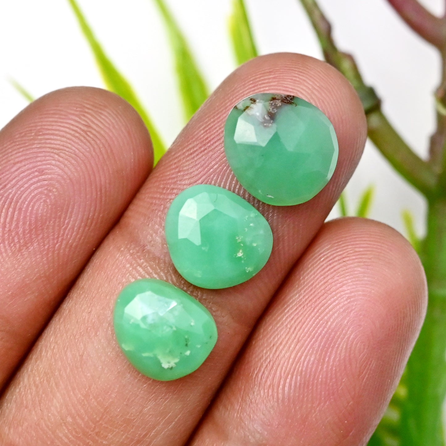 73.65cts Boulder Chrysoprase Rose cut Cabochon 7x9mm - 8x16mm Freeform Shape AA Grade Gemstone Parcel -Total 31 Pcs