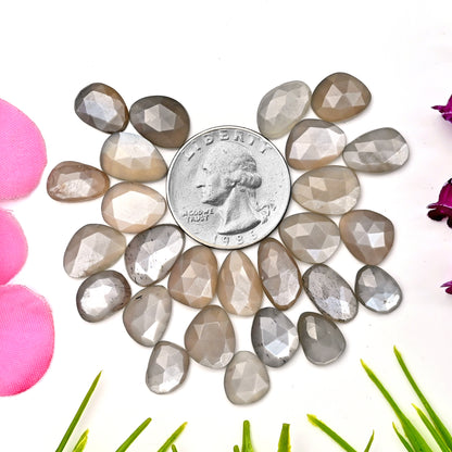 77.45cts Grey Moonstone Rose Cut Cabochon 8x11mm - 10x13mm Freeform Shape AA Grade Gemstone Parcel - Total 26 Pcs