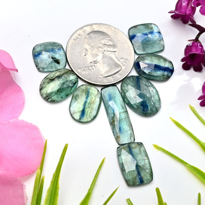 45.85cts Emerald Bio Green Kyanite Rose Cut Cabochon 7x21mm - 12x16mm Oval & Rectangle Shape AA Grade Gemstone Parcel - Total 8 Pcs