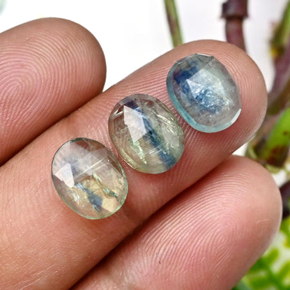 46,30 ct Smaragd Bio Grüner Kyanit Rosenschliff Cabochon 8x12mm - 8x10mm Oval Form AA Qualität Edelstein Paket - Insgesamt 17 Stück