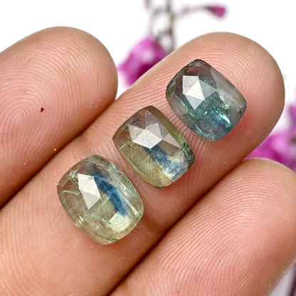 43,20 ct Smaragd Bio Grüner Kyanit Rosenschliff Cabochon 6x8mm - 8x10mm Achteckform AA Qualität Edelsteinpaket - Insgesamt 20 Stück