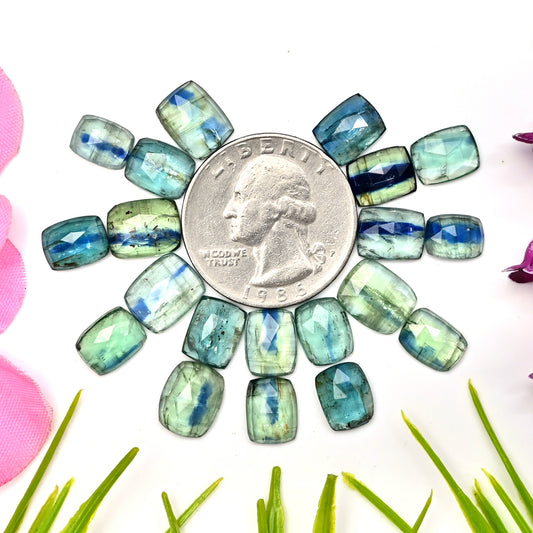 43,20 ct Smaragd Bio Grüner Kyanit Rosenschliff Cabochon 6x8mm - 8x10mm Achteckform AA Qualität Edelsteinpaket - Insgesamt 20 Stück