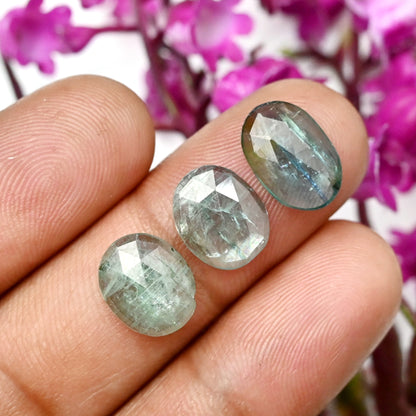 42.1cts Emerald Bio Green Kyanite Rose Cut Cabochon 7x14mm - 8x12mm Mix Shape AA Grade Gemstone Parcel -Total 15 Pcs