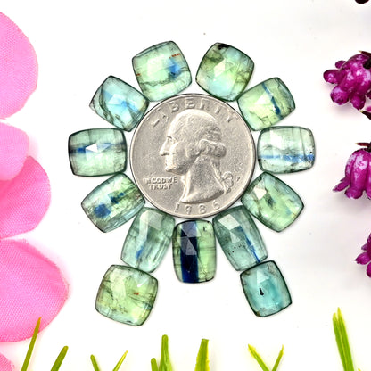 42.95cts Emerald Bio Green Kyanite Rose Cut Cabochon 8x12mm - 9x11mm Rectangle Shape AA Grade Gemstone Parcel -Total 13 Pcs