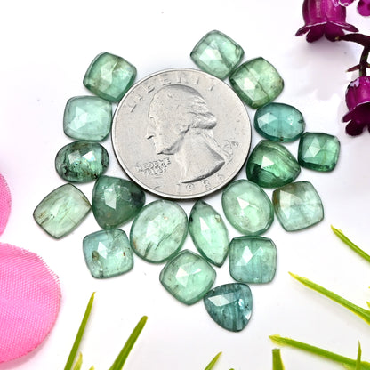 39,50 ct Smaragdgrüner Kyanit-Cabochon im Rosenschliff, 6 x 12 mm – 9 x 11 mm, gemischte Form, Edelsteinpaket der Güteklasse AA, insgesamt 18 Stück