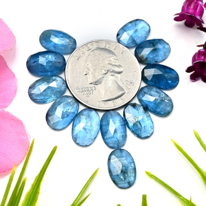 39.15cts. Paraiba Aquamarine Kyanite 8x12mm Rose Cut Oval Shape AA Grade Gemstone Parcel - Total 12 Pcs