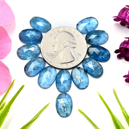 39,15 ct. Paraiba-Aquamarin-Kyanit, 8 x 12 mm, ovale Form, Rosenschliff, Edelsteinklasse AA, Paket – insgesamt 12 Stück