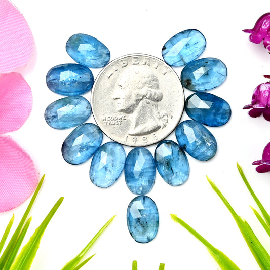 39,15 ct. Paraiba-Aquamarin-Kyanit, 8 x 12 mm, ovale Form, Rosenschliff, Edelsteinklasse AA, Paket – insgesamt 12 Stück