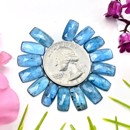 35,60 ct. Aquamarin-Kyanit, 6 x 12 mm, Rosenschliff, Baguetteform, Edelsteinklasse AA, Paket – insgesamt 15 Stück.