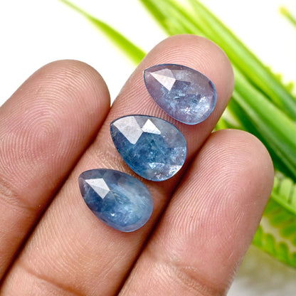 41.65cts. Aquamarine Kyanite 8x12mm - 9x13mm Rose Cut Tear Drop Shape AA Grade Gemstone Parcel - Total 14 Pcs.