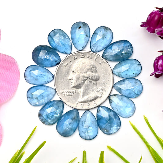 41,65 ct. Aquamarin-Kyanit 8 x 12 mm – 9 x 13 mm, tropfenförmiger Rosenschliff, Edelsteinpaket der Güteklasse AA – insgesamt 14 Stück.