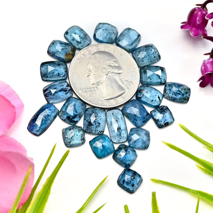 43,05 ct. Blaugrüner Moos-Kyanit, 7 x 9 mm – 6 x 12 mm, Rosenschliff, Kissen-Achteckform, Edelstein der Güteklasse AA, Paket – insgesamt 21 Stück