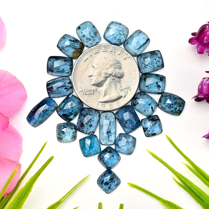 43,05 ct. Blaugrüner Moos-Kyanit, 7 x 9 mm – 6 x 12 mm, Rosenschliff, Kissen-Achteckform, Edelstein der Güteklasse AA, Paket – insgesamt 21 Stück