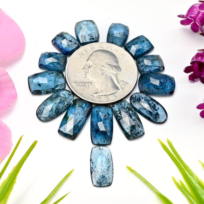 41,60 ct. Blaugrüner Moos-Kyanit, 7 x 14 mm – 7 x 9 mm, rechteckiger Rosenschliff, AA-Qualität, Edelsteinpaket – insgesamt 14 Stück