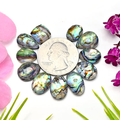 55,5 ct Abalone-Muschel-Dublette mit Himalaya-Bergkristall-Cabochon im Rosenschliff, 8 x 11 mm – 9 x 14 mm, Edelsteinpaket der Güteklasse AA, insgesamt 11 Stück