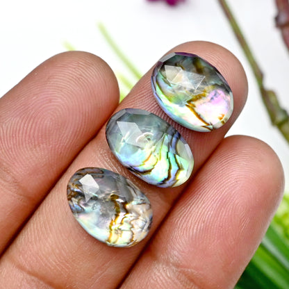 55,5 ct Abalone-Muschel-Dublette mit Himalaya-Bergkristall-Cabochon im Rosenschliff, 8 x 11 mm – 9 x 14 mm, Edelsteinpaket der Güteklasse AA, insgesamt 11 Stück