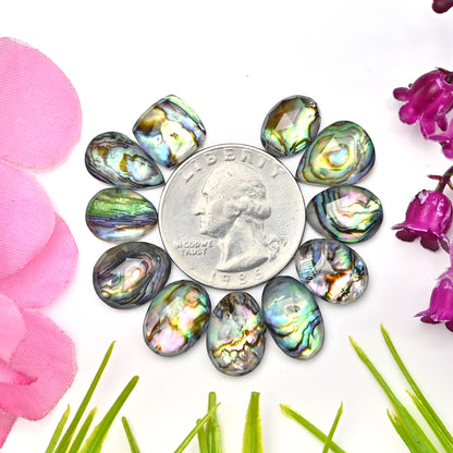 55,5 ct Abalone-Muschel-Dublette mit Himalaya-Bergkristall-Cabochon im Rosenschliff, 8 x 11 mm – 9 x 14 mm, Edelsteinpaket der Güteklasse AA, insgesamt 11 Stück