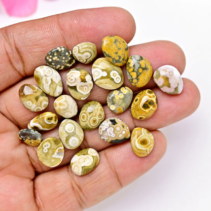 61 carats Ocean Jasper Freeform Shape Rosecut 9x12mm - 8x10mm AA Grade Gemstone Parcel - Total 20 Pcs