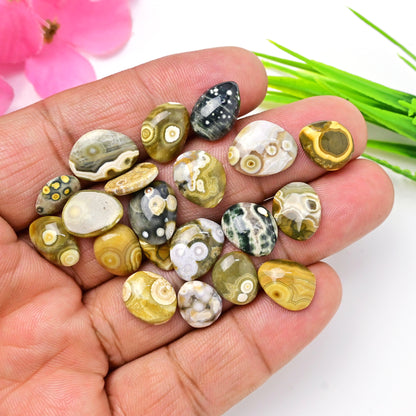 65.60 carats Ocean Jasper Freeform Shape Rosecut 11x14mm - 9x11mm AA Grade Gemstone Parcel - Total 20 Pcs