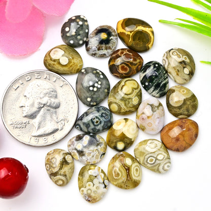 63.20 carats Ocean Jasper Freeform Shape Rosecut 9x11mm - 10x13mm AA Grade Gemstone Parcel - Total 20 Pcs