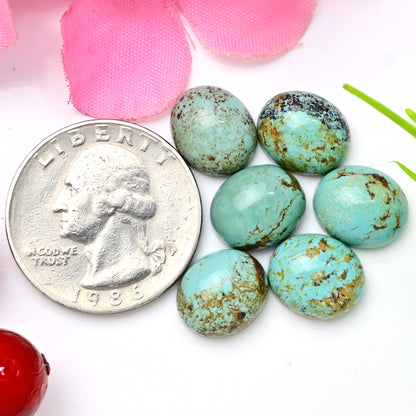 25.90cts Kingman Turquoise Smooth Cabochons Oval shape 10x12mm AA Grade Loose Gemstone - Total 6 pcs