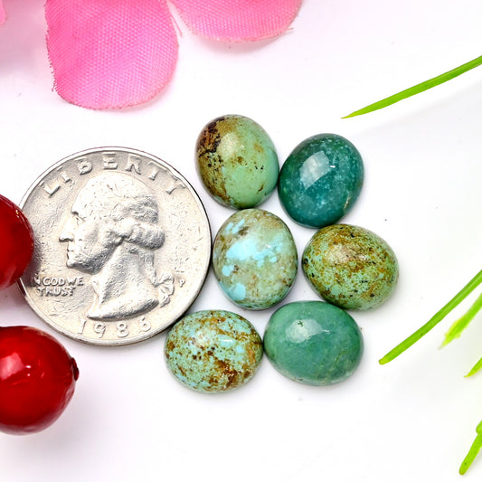 24.30cts Kingman Turquoise Smooth Cabochons Oval shape 10x12mm AA Grade Loose Gemstone - Total 6 pcs