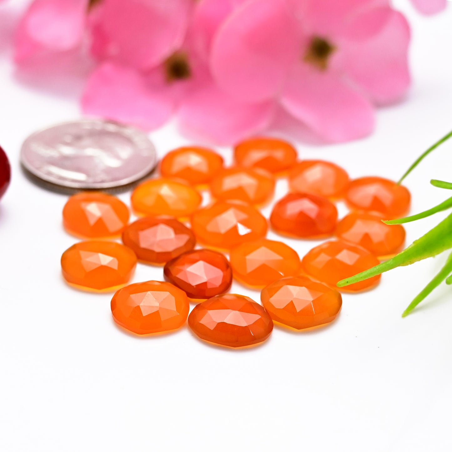 63.90cts Natural Carnelian 11x12mm Freeform Shape  Rose Cut Cabochon AA Grade Gemstone Parcel -Total 18 Pcs