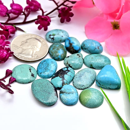 68cts Tibetian Turquoise Rose Cut Cabochon 13x20mm - 9x14mm Mix Shape AA Grade Gemstone Parcel -Total 14 Pcs